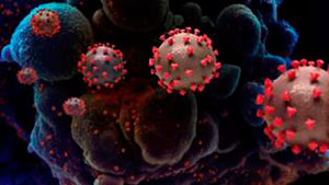 Вакцинация от коронавируса как эффективное мероприятие в борьбе с пандемией COVID-19!