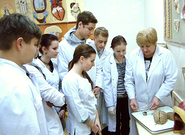 Учащиеся гимназии на занятиях на кафедре нормальной анатомии