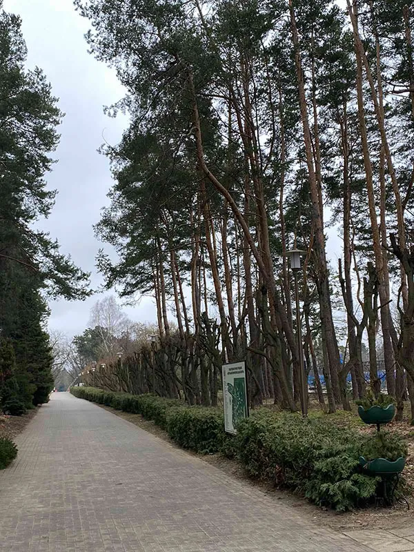 Студенты лечебного факультета посетили Центральный ботанический сад 