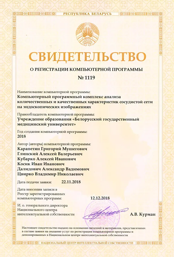 Компьютерный программный комплекс анализа количественных и качественных характеристик сосудистой сети на эндоскопических изображениях