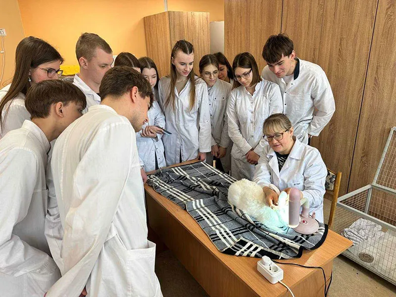 Этические проблемы проведения экспериментов на животных