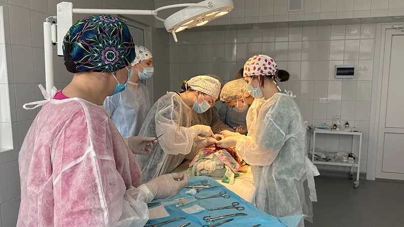 Мастер-класс по теме: WetLab в обучении хирургии: «Практический кейс по УЗ диагностике острого аппендицита и выполнению аппендэктомии и трахеостомии на лабораторном животном»