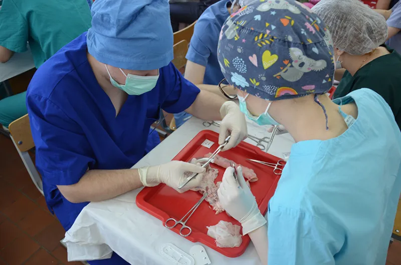 На кафедре оперативной хирургии и топографической анатомии прошла традиционная олимпиада по предмету