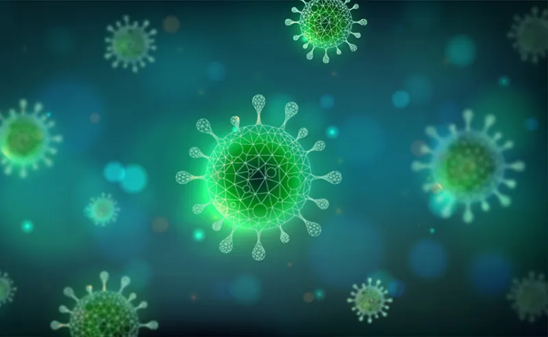 Студент БГМУ на неделю на медико-профилактическом факультете: результаты конкурса