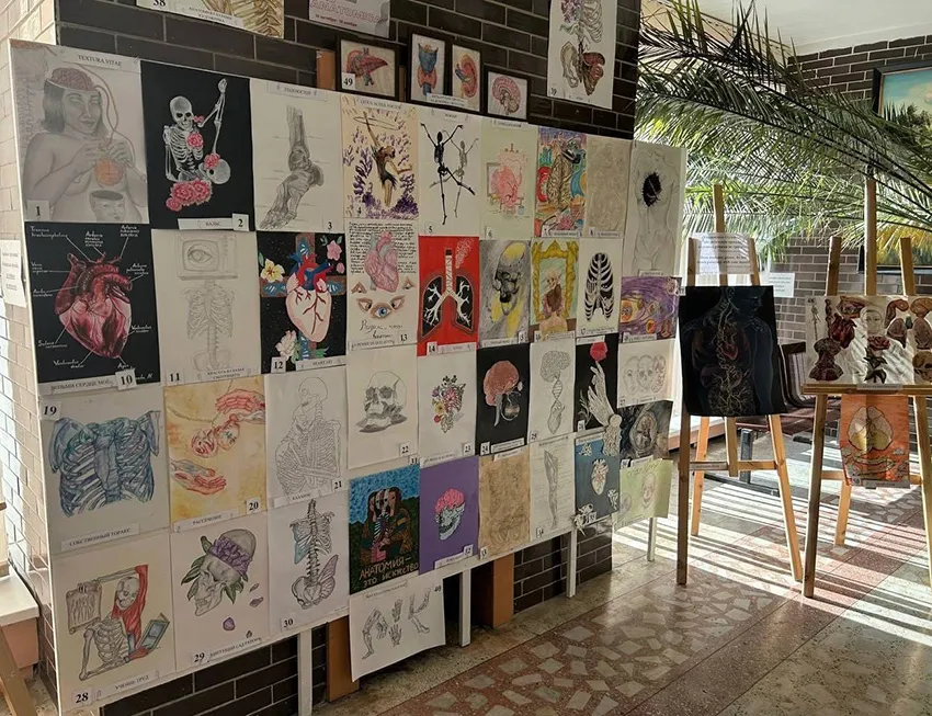 Ars Anatomica вновь на кафедре нормальной анатомии