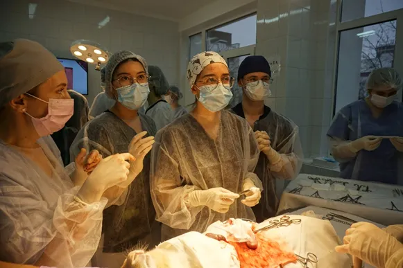 На кафедре оперативной хирургии и топографической анатомии в рамках конференции MedMinsk-2024 состоялся практико-ориентированный мастер-класс по аппендэктомии