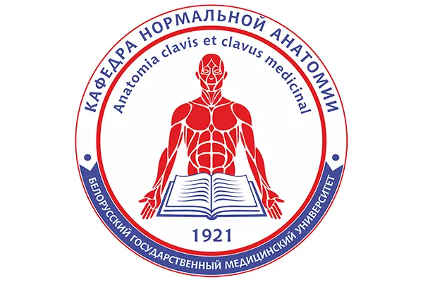 Первый «Анатомический QUIZ» на кафедре нормальной анатомии