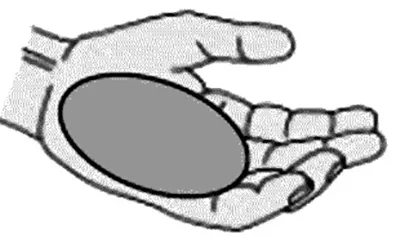 Размер порции белкового продукта