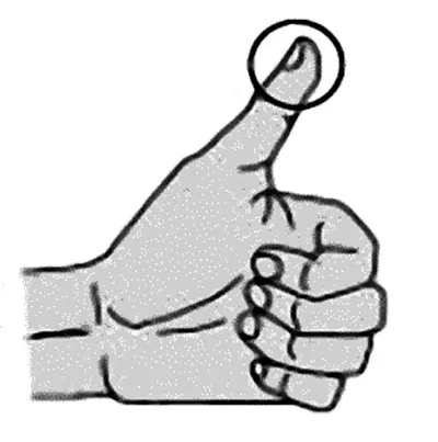 Размер порции жирного продукта