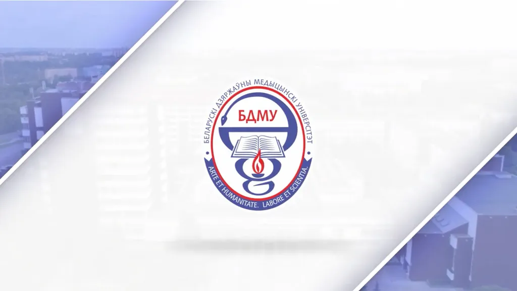 maxresdefault (5).jpg