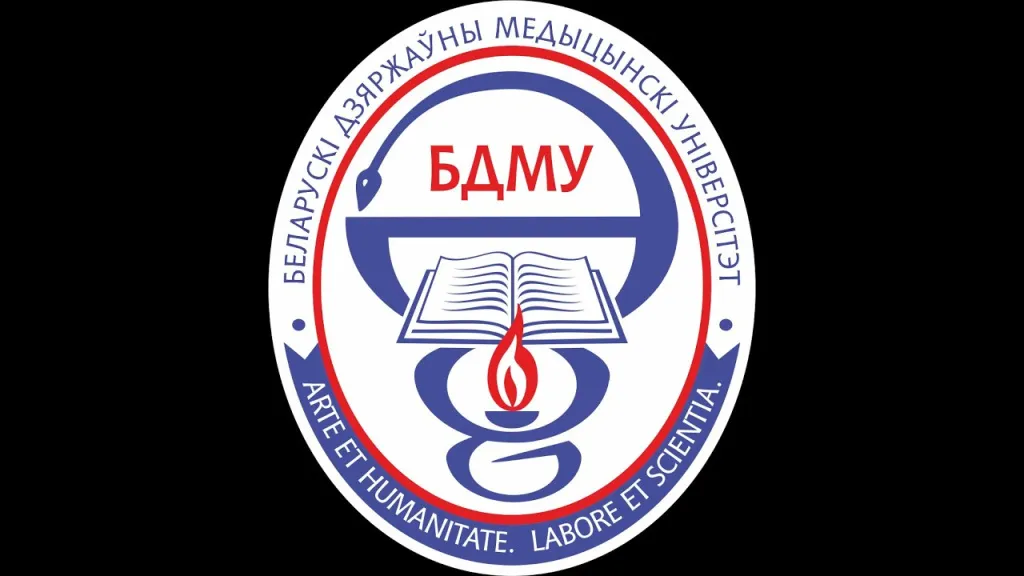 maxresdefault (5).jpg