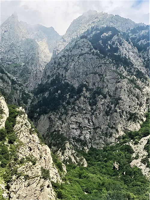 p3.jpg