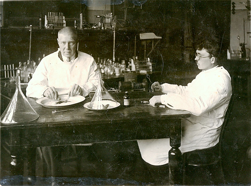 1923 слайд 4 Организована кафедра биологической химии медицинского факультета БГУ
