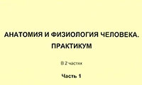 5_0915.jpeg