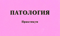 3_2015.jpeg
