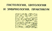 7_12016.jpg