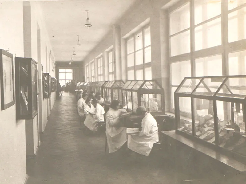 1922 слайд 9 Организована кафедра иностранных языков с курсом латинского языка медицинского факультета БГУ 1922 слайд 9 Организована кафедра иностранных языков с курсом латинского языка медицинского факультета БГУ